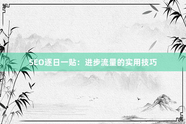 SEO逐日一贴：进步流量的实用技巧